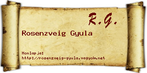 Rosenzveig Gyula névjegykártya